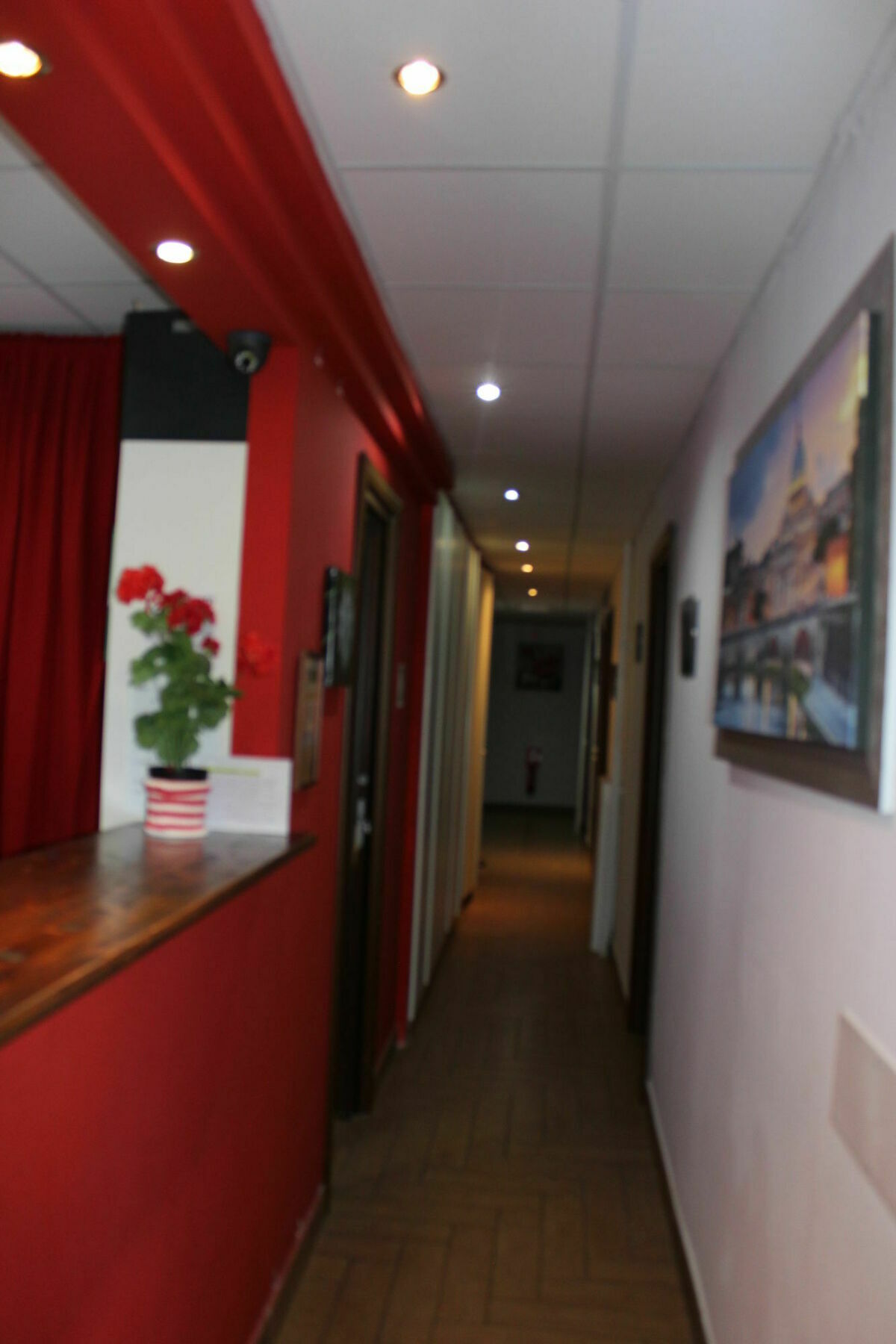 Guest house Mr. Charlie Brown 2*